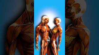 How many Cells in Human Body❓