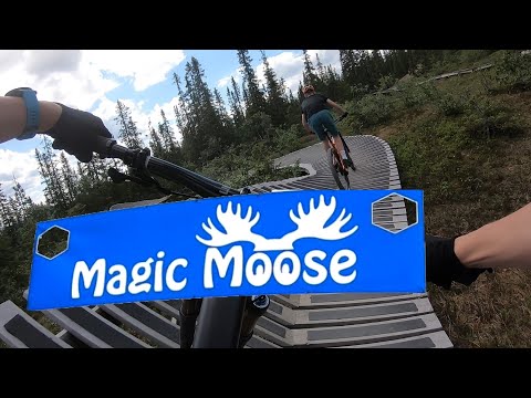 Riding Europes Longest Flow Trail | Magic moose, Rolling stones and Sten | Trysil Bike Arena