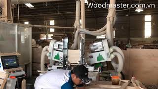 Máy Phay Mông Dương Cnc 2 đầu giá tốt nhất TPHCM