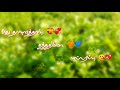 Adi Aasa Machan ️ Song For WhatsApp Status