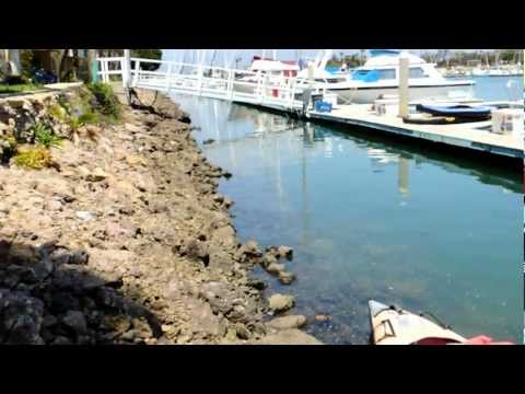 Shahryar Hashemi Oxnard