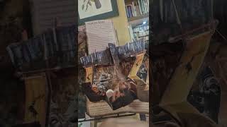 esse livro era belissimo mesmo