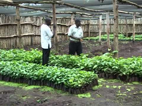 Inclusive green heat for income generation