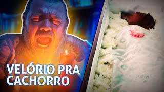 Miniatura do vídeo