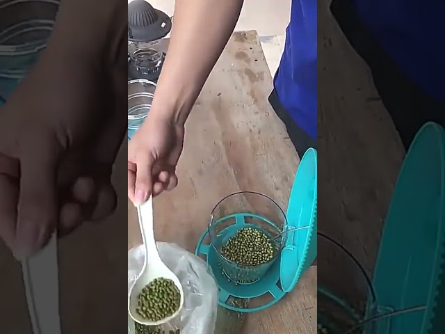 Vídeo relacionado con Coconut Gancho de pastor para exterior, poste de comedero de pájaros ajustable de 62 pulgadas con base de 5 puntas, soporte de colgador de jardín para comedero de colibrí, campanilla de viento
