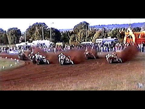 1991 BEST MOTORCYCLE GRASSTRACK RACES - PART 5