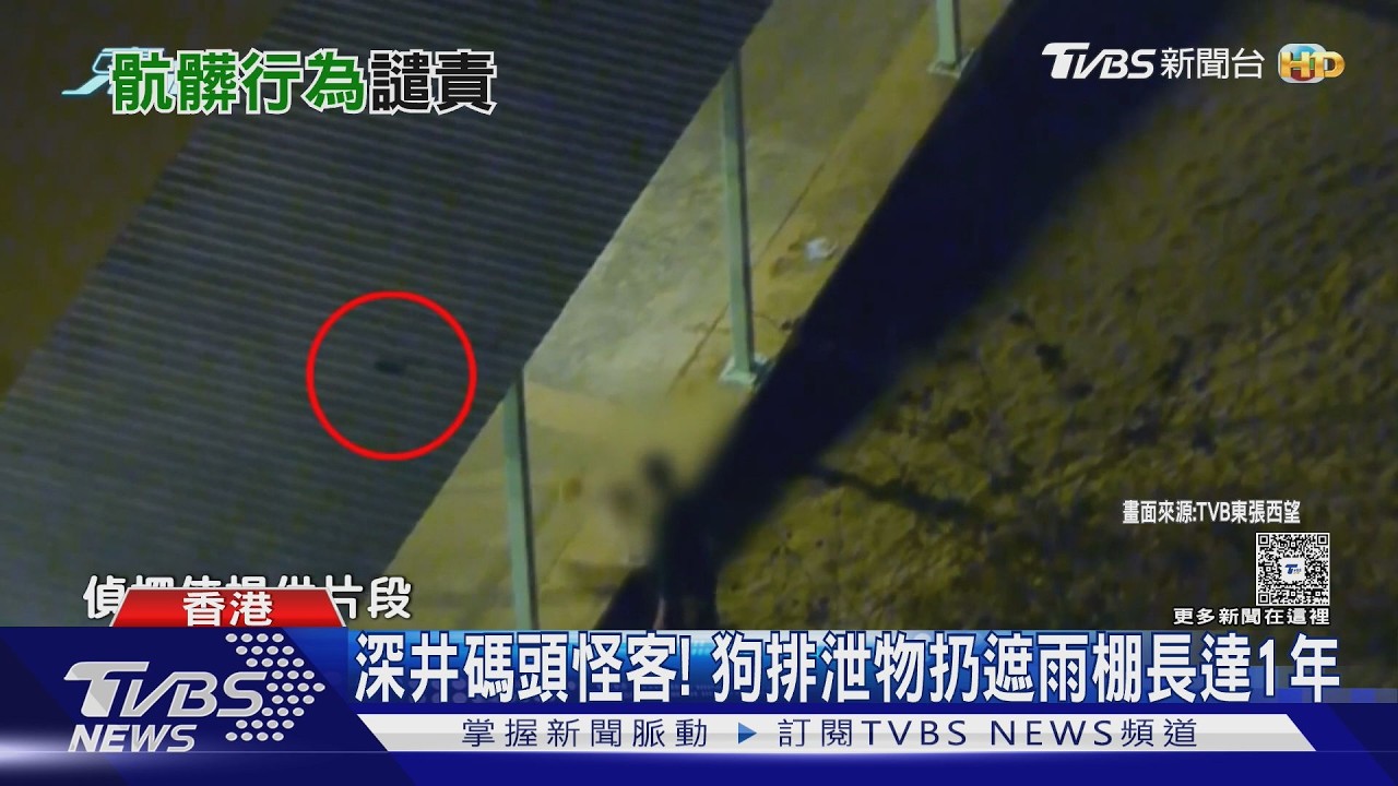 影音/深井碼頭怪客! 狗排泄物扔遮雨棚達1年 港TVB埋伏找到鐵證