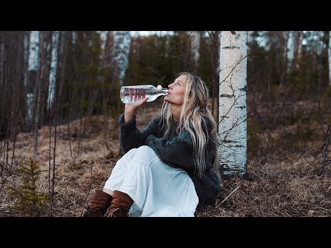 How to tap Birch Sap  | Health benefits & a taste of spring