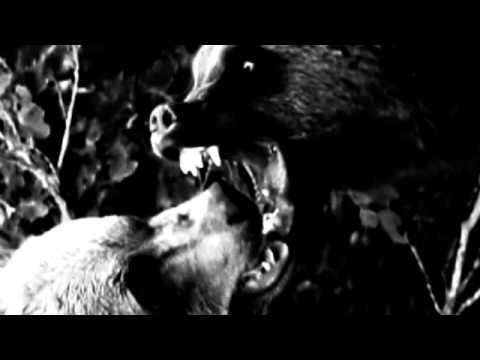 The Anger - Carl Noren