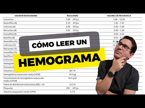 How to Read a Complete Blood Count