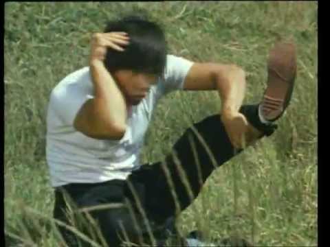 Snake In The Monkey's Shadow pt.4