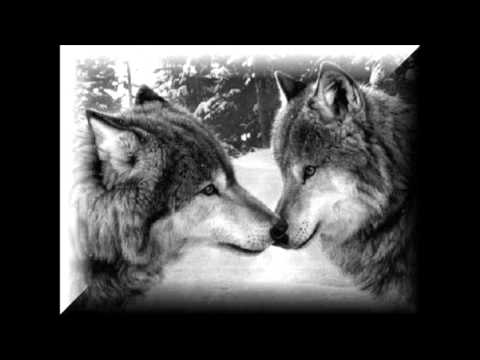 Te voy a confesar-israel brito y alex ubago.wmv