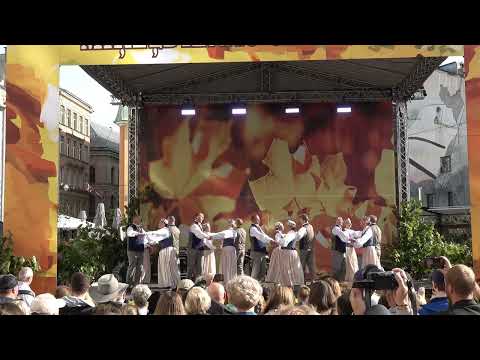 Zemeņu māju polka - VPDK Dejotprieks