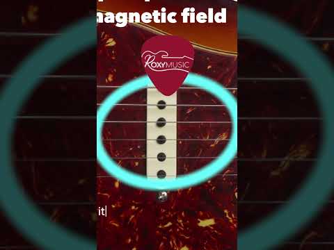 How pickups work #guitarpickups #guitar