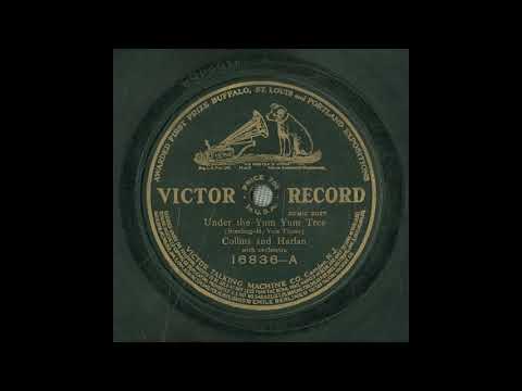 Under the Yum-Yum Tree - Collins and Harlan (Victor 16836) (1911)