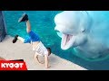 Beluga Whale is AMAZED by Tricks!  | Funny Aquarium Videos