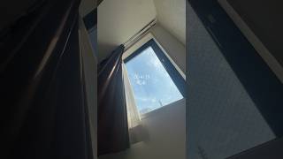 日常Vlog #vlog #ルーティン #ばずれ #一人暮らし #日常vlog #fyp