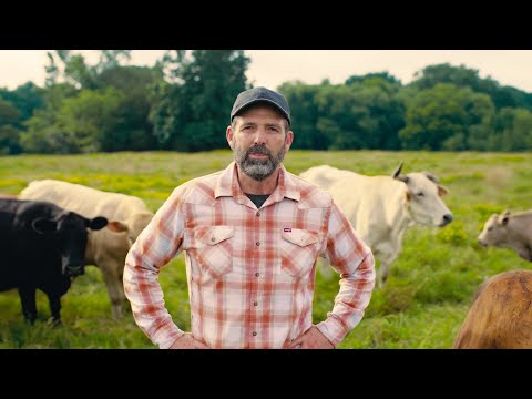 Let's Take Texas Back