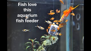 Life Aquatic Fish Feeder Frank with Cage