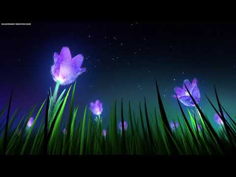 Опуштајућа музика за спавање са тихим цврчцима и звуцима природе