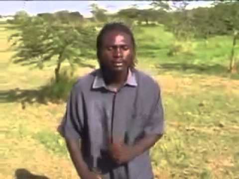 Collela Mazee Precina Official Video