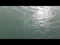 Haridwar Ganga River Flow In Haridwar Clean Ganga In Haridwar Haridwar Status Ganga Ji Status