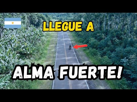 ALMAFUERTE MISIONES ARG. 🇦🇷