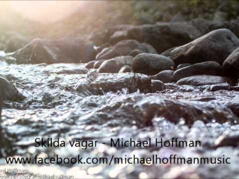 Michael Hoffman - Skilda vägar