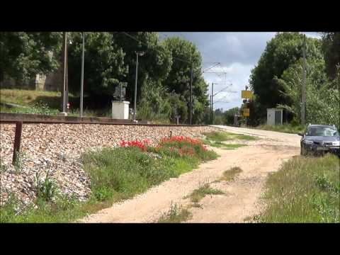 Comboio de Madeira nº 48892 - Ribeira da Seiça