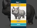 rhino - 犀牛 video thumbnail
