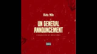 Shatta Wale - UN general Announcement (Audio Slide)