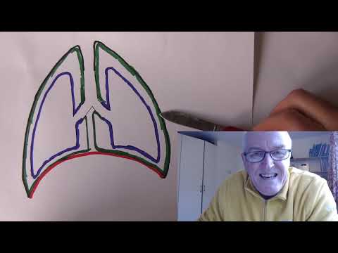 Body Cavities, Thorax -  pleural and pericardial