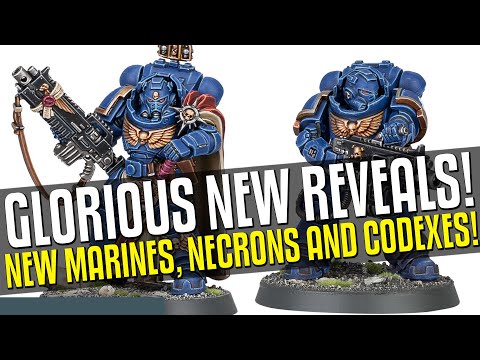 NEW Heavy Intercessros, NEW Stormspeeder, NEW Multipart Kits, NEW Codex's & NEW Necrons! GLORIOUS!!!