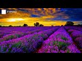 Sahaayane Song WhatsApp Status