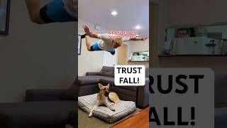 do NOT play this SOUND💀 #dog