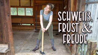 Es geht los!🤩Umbau, Ausbau, Schweiß, Frust & Freude🥰Pferdestall
