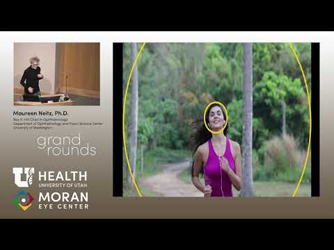 Myopia: A Major World-Wide Problem That Can Be Solved