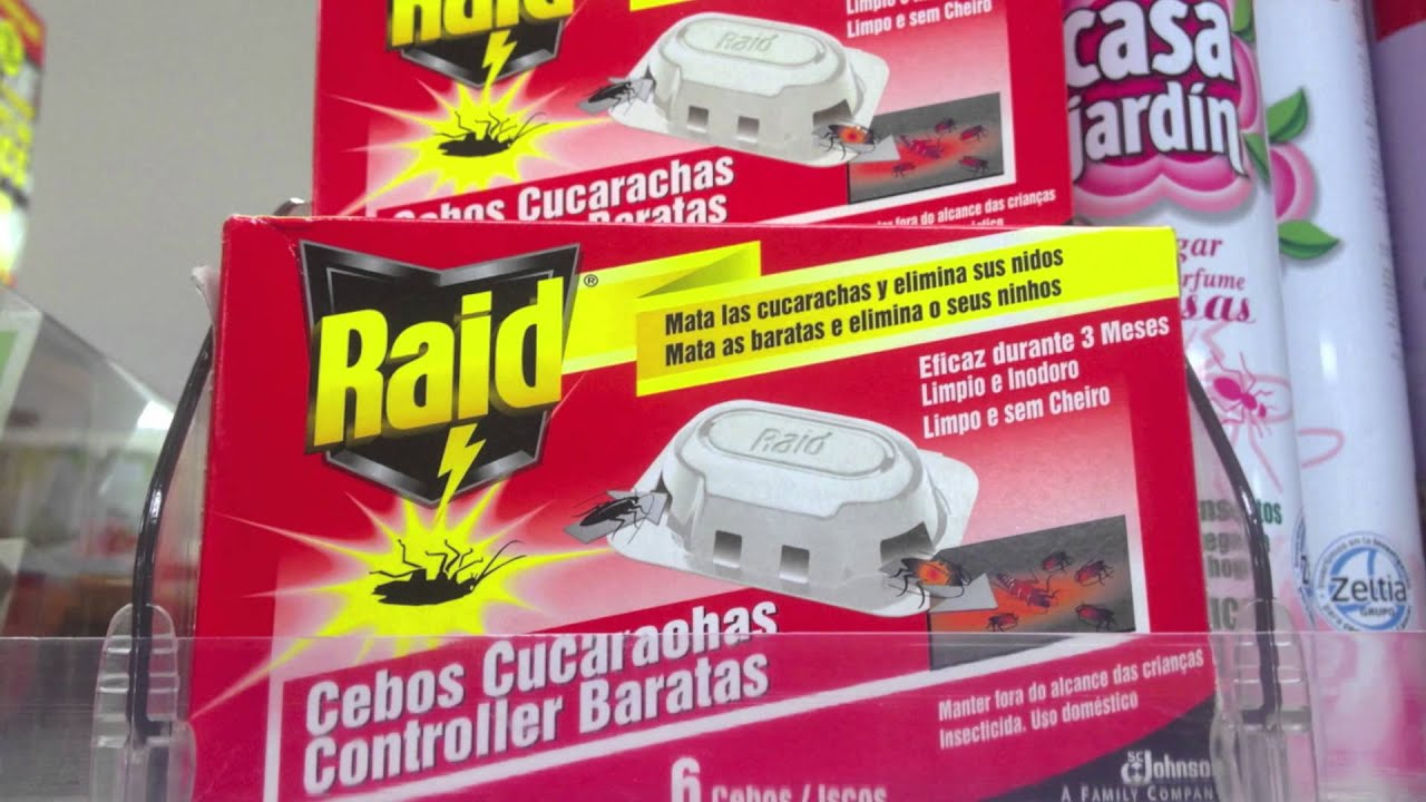 Cómo me deshago de una plaga de pececillos de plata