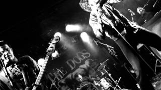 The Dogs - You Drive