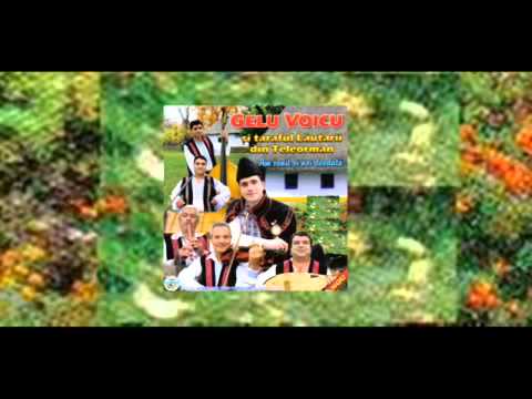 Gelu Voicu si Lautarii din Teleorman - Pe dealul din Teleorman