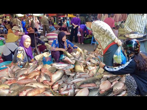 Cambodia's Fish Market Scene You Can Find: Pork, Vegetables, Fruit, Fish & More In Phnom Penh