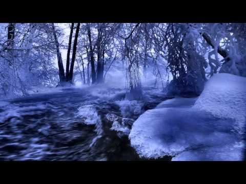 Forest Silence - Spirits of the Wind
