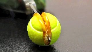 Satisfying "Red-Hot Knife vs." Compilation #1