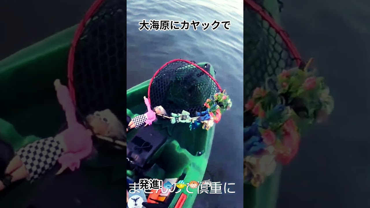 #釣り #www #バス釣り #fishing #カヤックフィッシング#沈#千葉県#海#アウトドア#カヤック#東京湾