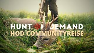 Hunt on Demand Communityreise 🇵🇱 Auf Bockjagd in Schlesien Teil 2 von @wildhuntblackforest4494