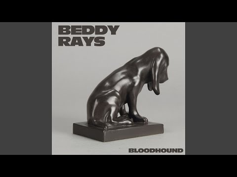 Bloodhound - Beddy Rays