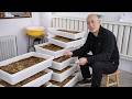 How To Raise Black Soldier Fly Larvae On A Small Scale Easy Method For Rural Urban Beginners