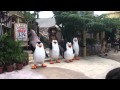 Madagascar Boogie Dance At Universal Studios Singapore