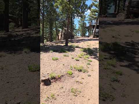 360 view of our site