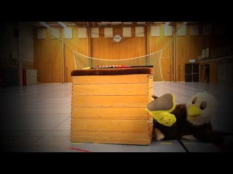 Örnies Innebandyskola - Sävsjö IBK